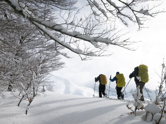 Trois personnes sont en raquettes dans la neige et font une rando en Hautes-Alpes.